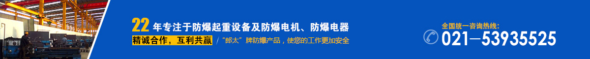 上海郎太防爆起重機有限公司